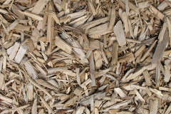 biomass boilers Ynysddu